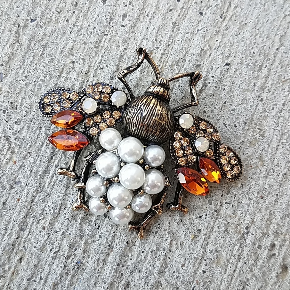 Insect Fly Bee Brooch 🎁NWT